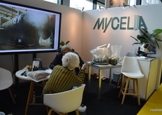 Magda Verfaille, with Mycelia having a conversation.